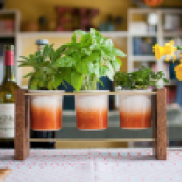 DIY never tasted so good. Make an adorable in-home garden with recycled wood & reusable vases!