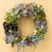 Mom's will never say no to a beautiful, homemade wreath! Get creative with succulents this Mother's Day!